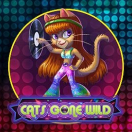 Cats Gone Wild